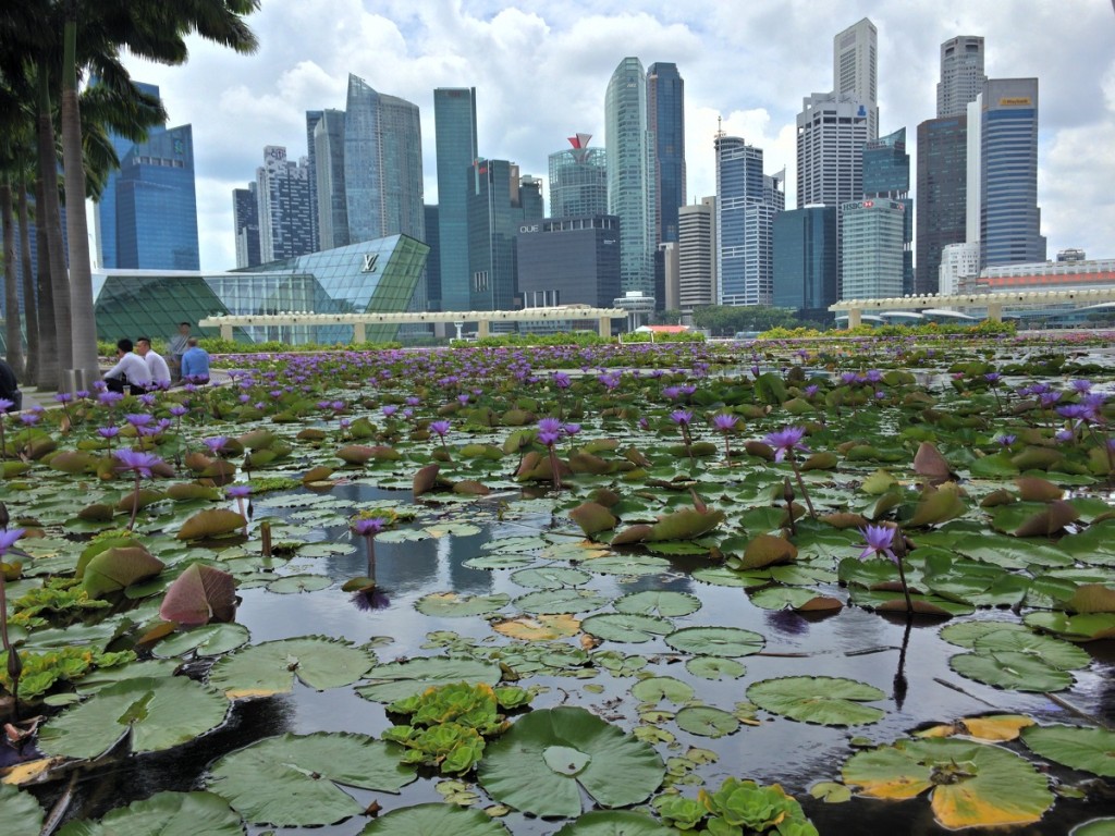 Enjoy Beautiful Bukit Batok Nature Park in Singapore! - The World or Bust