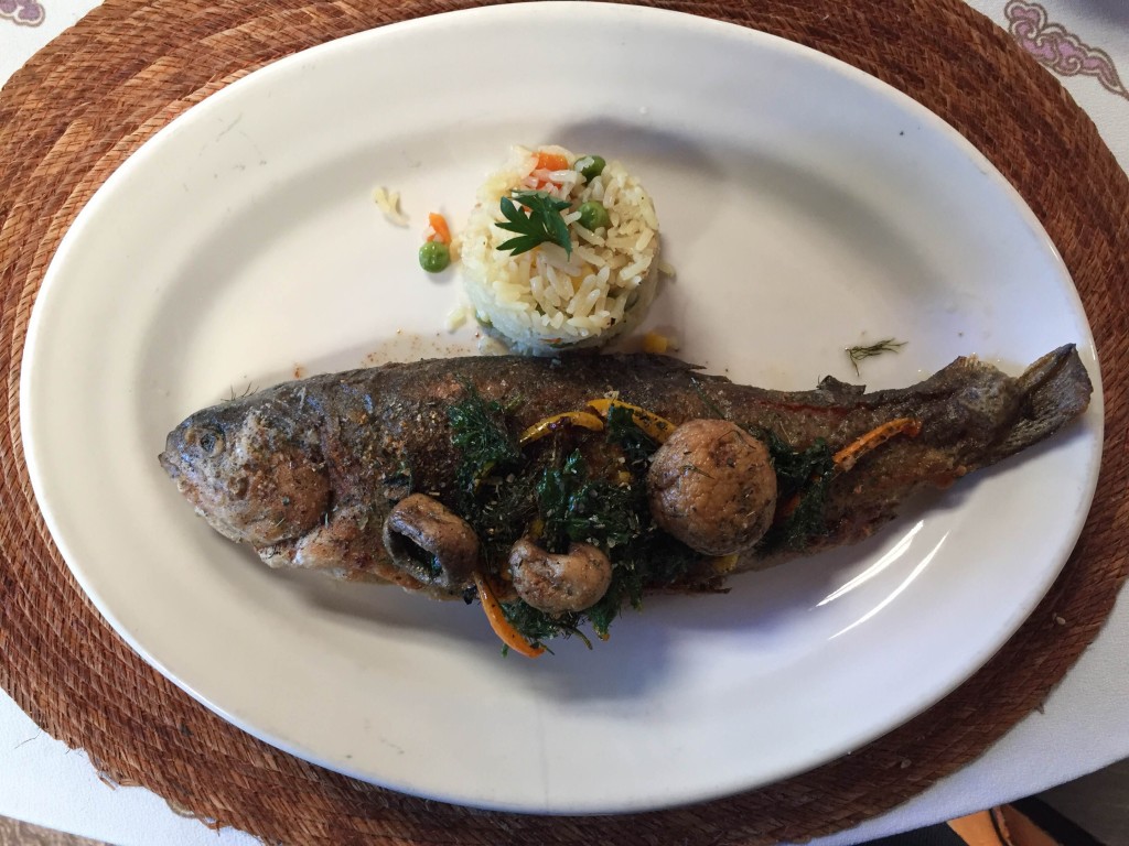 trout at a restaurant in mineral de chico, mexico
